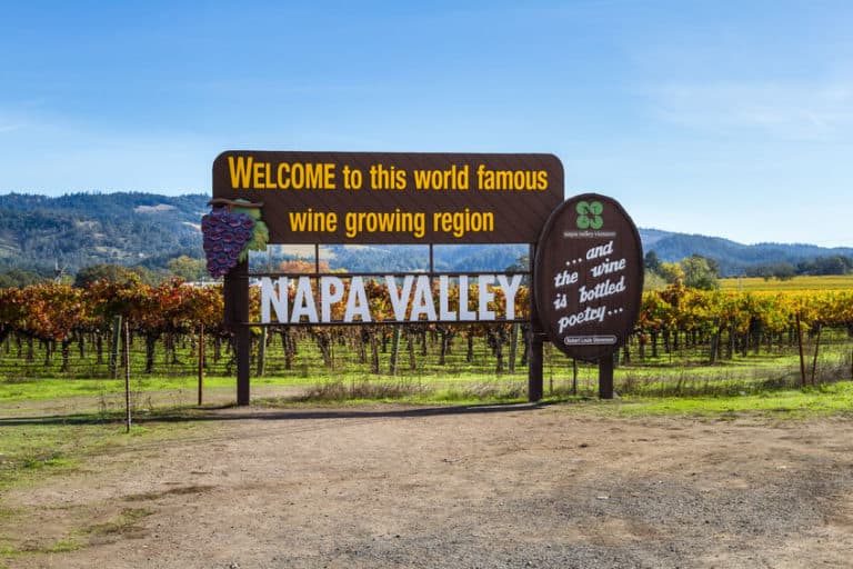 Discover the Top 8 Best Cheap Wine Tasting in Napa Valley Vacation