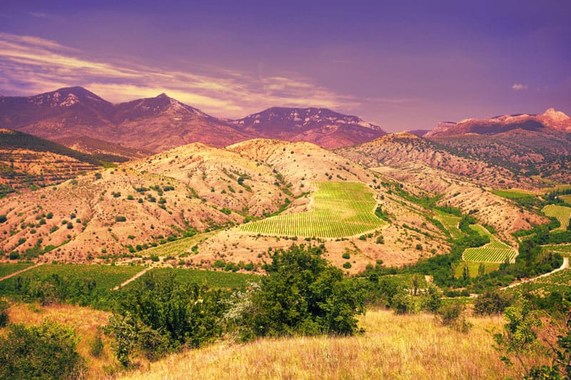 Which Is Better Napa Or Sonoma Vacation Napa